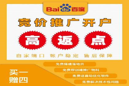百度推广成功之路：从零到一的实战案例记录