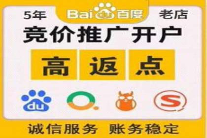 百度SEO推广策略：如何快速提升网站排名？——案例详解